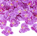40 Pieces Orchid Petals Artificial Decorations Wedding Party Orchids Heads Flowers Faux Silk Phalaenopsis Butterfly Flower Heads for DIY Craft Home (Light Purple)